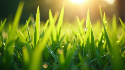 Vibrant Green Grass Blades Close-Up Detail