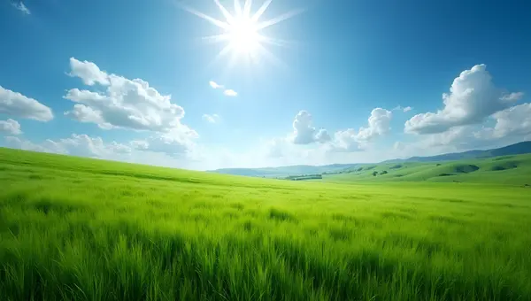 Vibrant Green Grass Field Under Clear Blue Sky