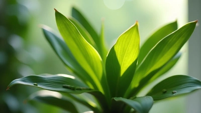 Vibrant Green Indoor Plant Close-Up