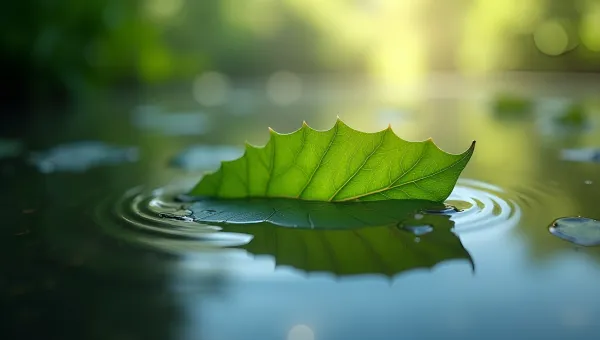 Vibrant Green Leaf Floating On Calm Water