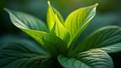 Vibrant Green Leaf Macro Showing Veins