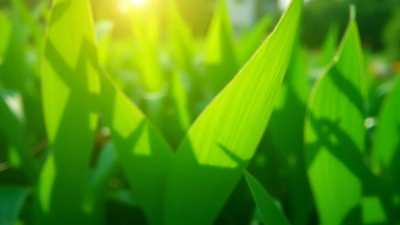 Vibrant Green Leaf Plants Close-Up