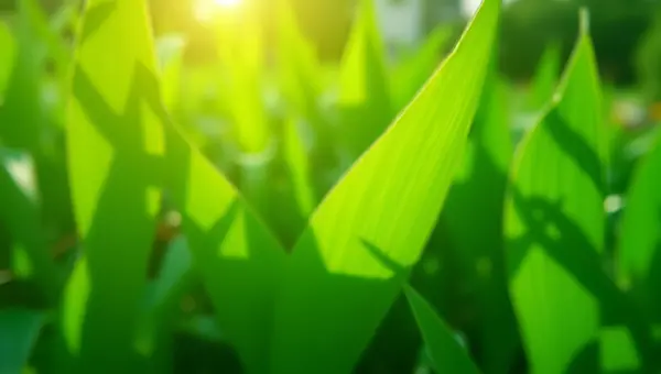 Vibrant Green Leaf Plants Close-Up