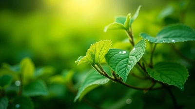 Vibrant Green Leaf Vines Close-Up