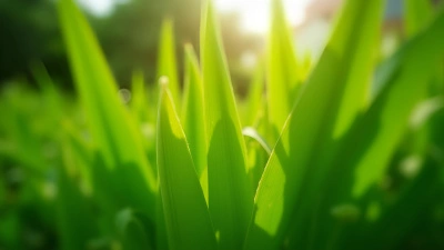 Vibrant Green-Leafed Plant Close-Up With Sunlight