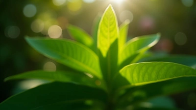 Vibrant Green-Leafed Plant With Lush Foliage