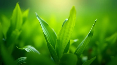 Vibrant Green Leafed Plants Close-Up