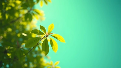 Vibrant Green Leafed Trees Against Blue Sky