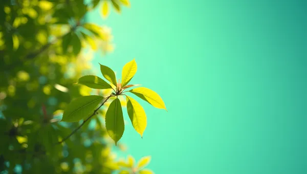 Vibrant Green Leafed Trees Against Blue Sky