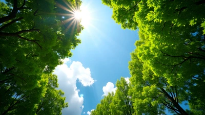 Vibrant Green-Leafed Trees Under Clear Sky