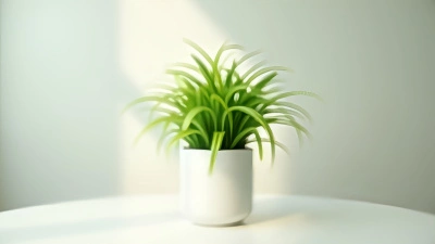 Vibrant Green Leafy Plant In Minimalist White Pot