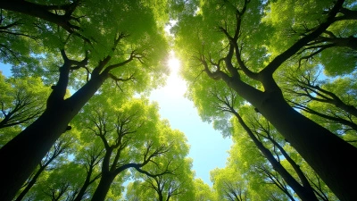 Vibrant Green Leafy Trees Under Bright Sky