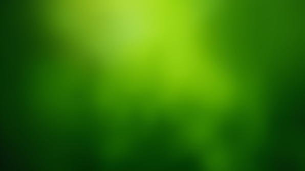 Close-up shallow focus photo highlighting vibrant green leaves with natural texture and fresh foliage