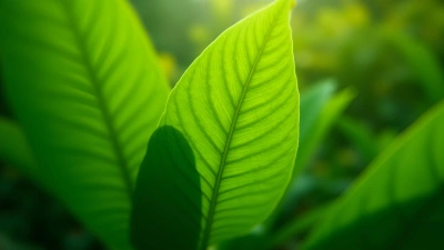 Vibrant Green Leaves Close-Up With Veins