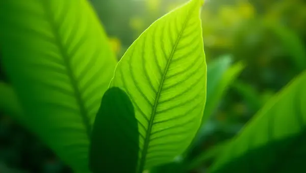 Vibrant Green Leaves Close-Up With Veins