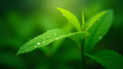 Vibrant Green Leaves With Natural Veins