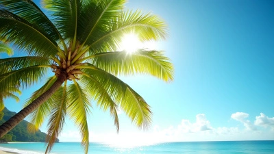 Vibrant Green Palm Tree On Tropical Beach