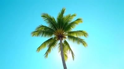 Vibrant Green Palm Tree Under Blue Sky