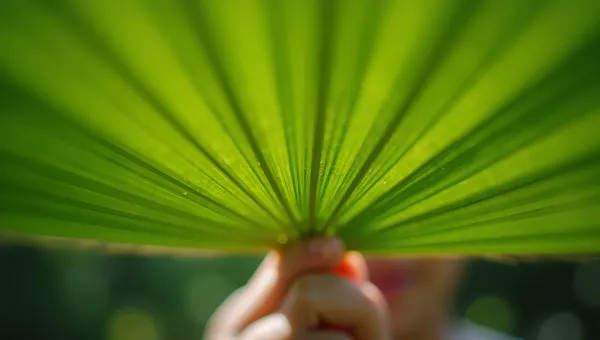Vibrant Green Palmate Leaf Held Outdoors