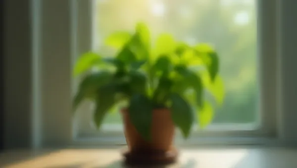 Vibrant Green Potted Plant Close-Up
