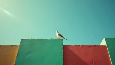 Vibrant Green Red Textured Wall With White Bird