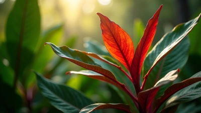 Vibrant Green And Red Tropical Leaves Close-Up
