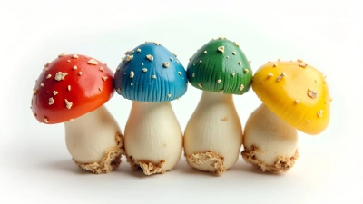 Vibrant Mushrooms Illustration With Whimsical Shapes