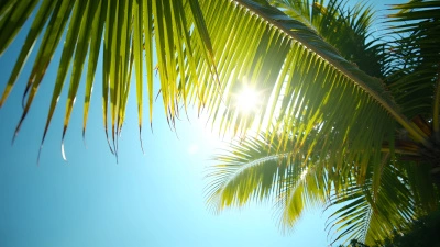 Vibrant Palm Leaves Against Clear Blue Sky
