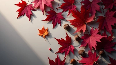 Vibrant Purple And Red Autumn Leaves Flat Lay
