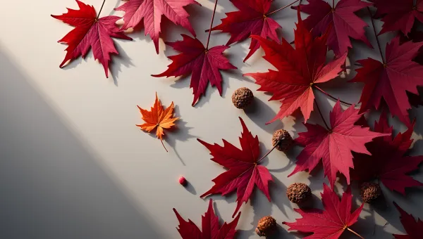 Vibrant Purple And Red Autumn Leaves Flat Lay