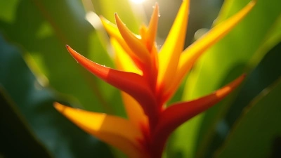 Vibrant Yellow And Red Tropical Plant Close-Up