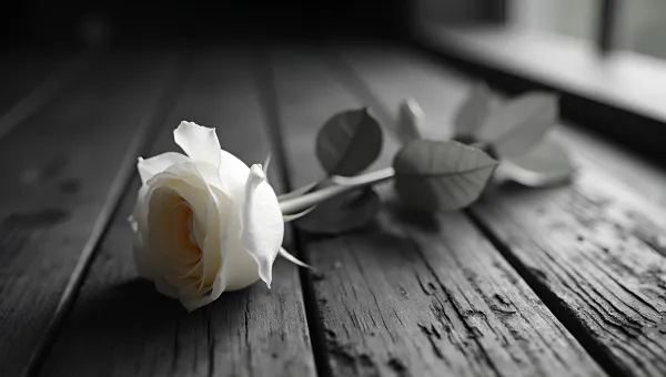 Vintage Black-and-White Photo With White Rose