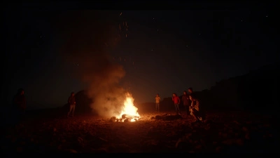 Warm Bonfire Glowing Brightly At Night