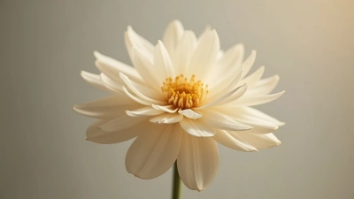 White And Brown Artificial Flower Close-Up