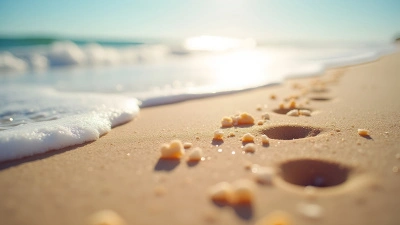 White and Brown Beach Sand Grains Close-Up