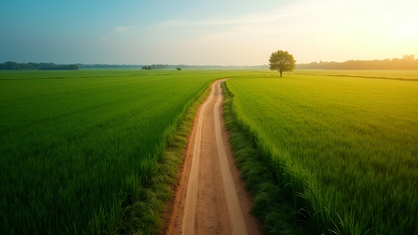 Winding Brown Dirt Pathway Through Green Fields