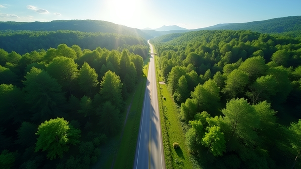 Aerial view of a winding road cutting through a dense green forest under bright daylight