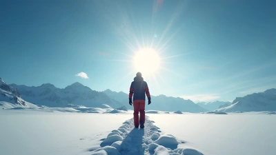 Winter Gear Man Crossing Snowfield Landscape