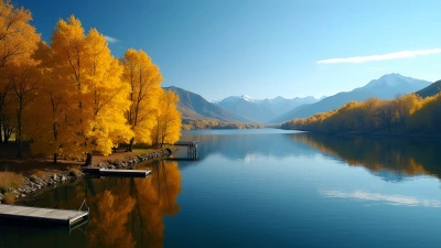 Yellow Autumn Trees Reflecting On Calm Lake