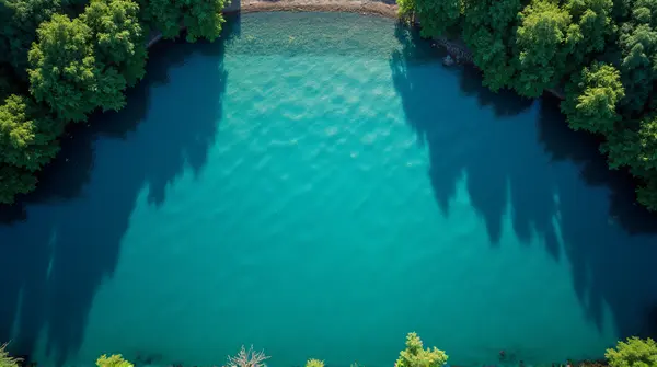 Top-down aerial view of expansive cerulean water bordered by thick foliage with sunlight patterns on rippling surface.
