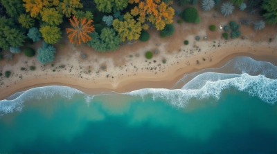 Aerial View Of Water Land Interface Texture