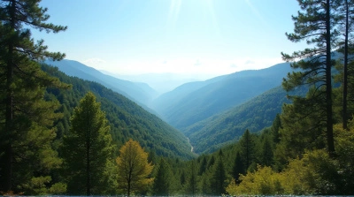 Aerial View Of Wooded Hills With Serene Sky