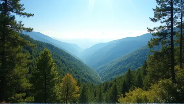 Aerial View Of Wooded Hills With Serene Sky