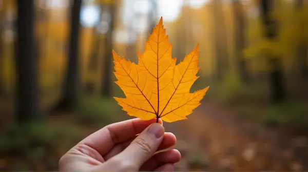 Close-up of a bright amber leaf with detailed veins against a blurred forest background