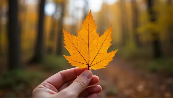 Amber Leaf Close-Up With Textured Veins