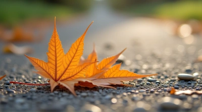 Amber Leaf On Textured Pavement With Pebbles