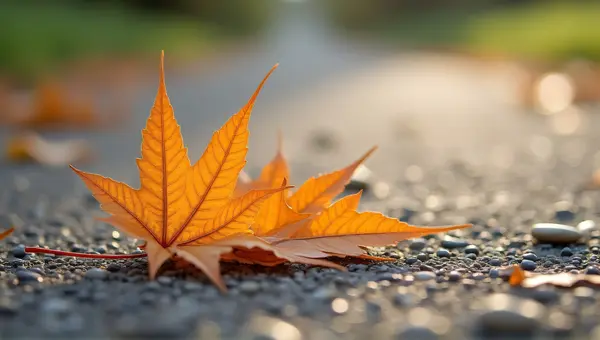 Amber Leaf On Textured Pavement With Pebbles
