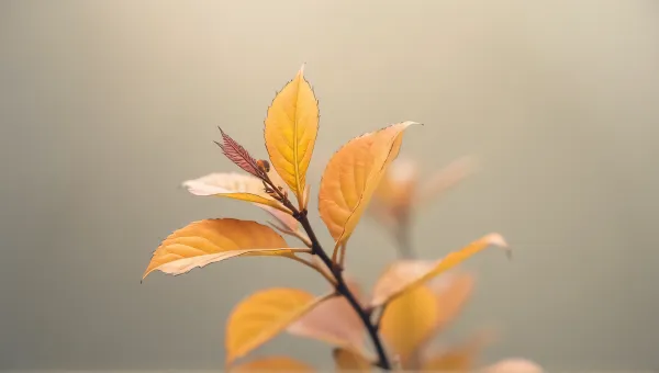 Amber Leaves Plant Against Soft Neutral Background