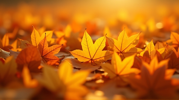 Close-up of overlapping autumn leaves forming an abstract warm-toned mosaic with textured surfaces.
