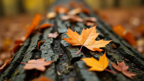 Autumn Leaves Texture On Tree Bark Surface